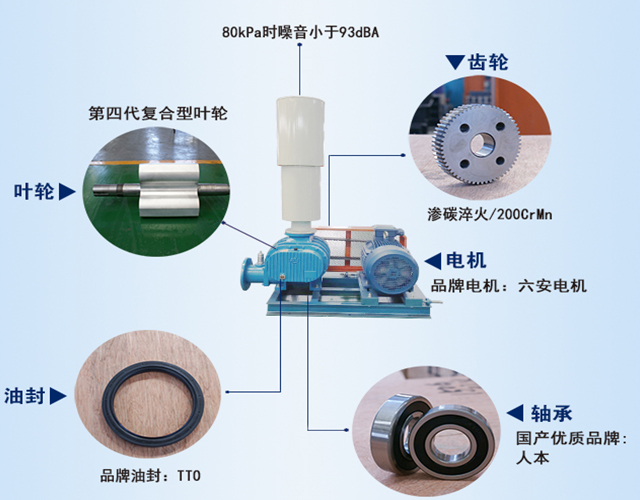 章丘豐源機(jī)械羅茨鼓風(fēng)機(jī)產(chǎn)品結(jié)構(gòu)說明圖